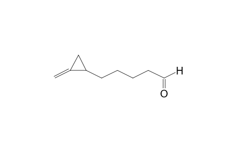 5-(2-Methylenecyclopropyl)pentanal