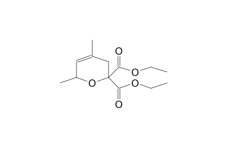 2,2-DIETHOXYCARBONYL-4,6-DIMETHYL-3,6-DIHYDRO-2H-PYRAN