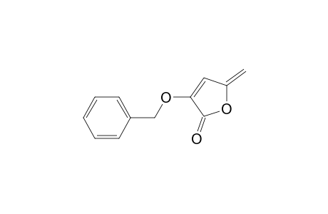 3-(benzyloxy)-5-methylene-furan-2-one