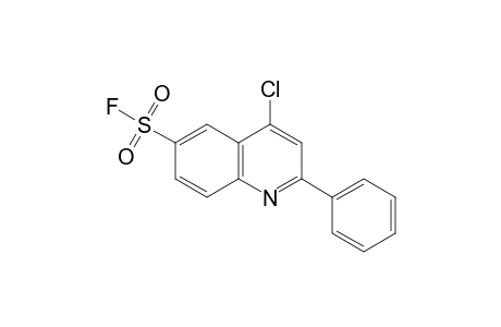 4-chloro-2-phenyl-6-quinolinesulfonyl fluoride