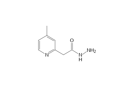 4-methyl-2-pyridineacetic acid, hydrazide