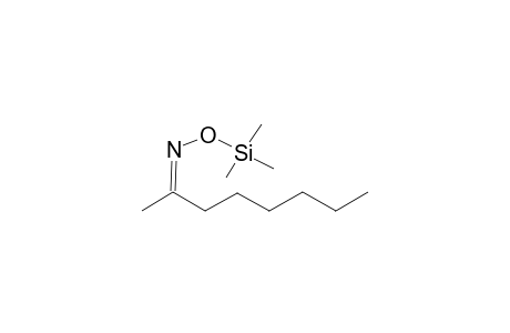 Octan-2-one oxime, mono-TMS, isomer 2