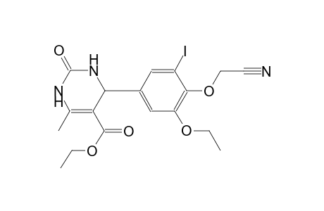 ethyl 4-[4-(cyanomethoxy)-3-ethoxy-5-iodophenyl]-6-methyl-2-oxo-1,2,3,4-tetrahydro-5-pyrimidinecarboxylate