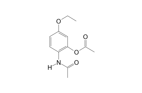 Bucetin-M (HO-) HY2AC                @