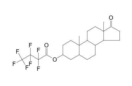 Epiandrosterone (3.beta., 5.alpha.), 3-heptafluorobutyrate (ester)