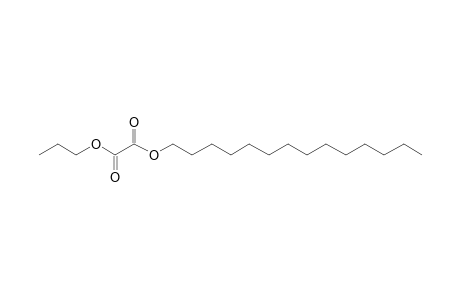 Oxalic acid, propyl tetradecyl ester