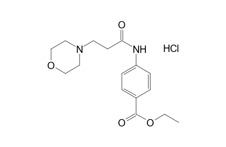 p-(3-Morpholinopropionamido)benzoic acid, ethyl ester, hydrochloride