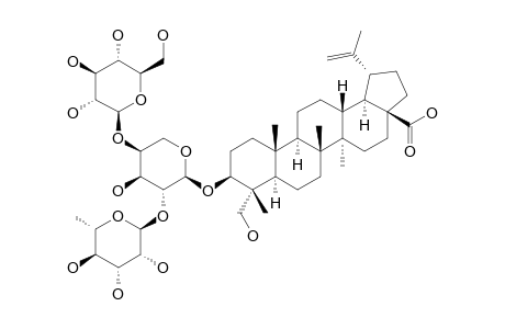 23-HYDROXY-3-BETA-[(O-ALPHA-L-RHAMNOPYRANOSYL-(1->2)-O-[O-BETA-D-GLUCOPYRANOSYL-(1->4)]-ALPHA-L-ARABINOPYRANOSYL)-OXY]-LUP-20-(29)-EN-28-OIC_ACID