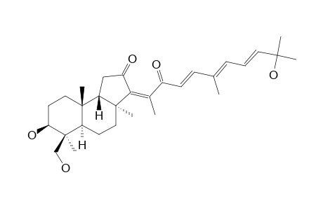 RHABDASTRELLIN_D