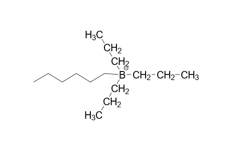 [BPR3HEXY]-