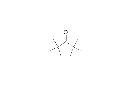 2,2,5,5-Tetramethyl-cyclopentanone