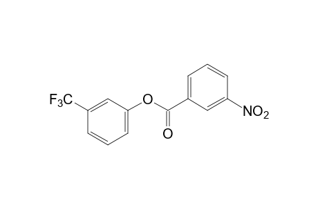 alpha,alpha,alpha-TRIFLUORO-m-CRESOL, m-NITROBENZOATE