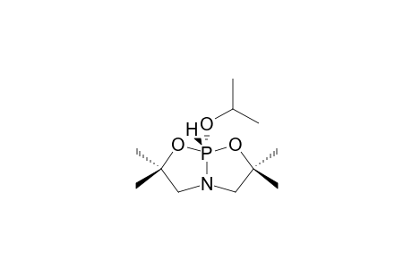 3,3,7,7-TETRAMETHYL-1-ISOPROPYLOXY-2,8-DIOXA-5-AZA-1-PHOPHA-(V)-[3.3.0]-BICYCLOOCTANE