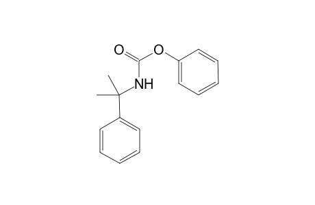 N-(1-Methyl-1-phenyl-ethyl)-phenyl carbamate