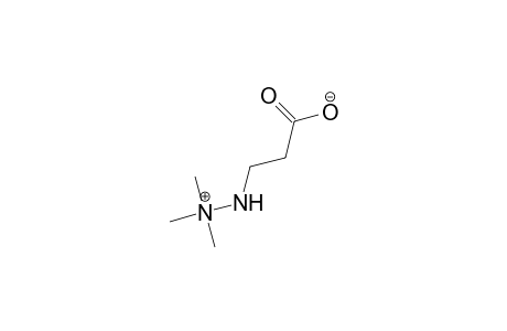 3-(trimethylazaniumylamino)propanoate 3-(trimethylammonioamino)propanoate 3-(trimethylammonioamino)propionate 76144-81-5 Kvaterin Meldonium Meldonium [INN] ST5437598 NCGC00164538-01 2-(2-Carboxyethyl)-1,1,1-trimethylhydrazinium hydroxide inner salt 3-(2,2,2-trimethylhydrazine)propionate BRN 3938272 Hydrazinium, 2-(2-carboxyethyl)-1,1,1-trimethyl-, hydroxide, inner salt