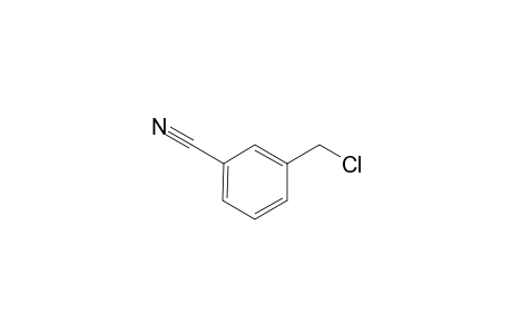 3-Chloromethyl-benzonitrile