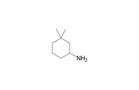 1-AMINO-3,3-DIMETHYL-CYCLOHEXANE