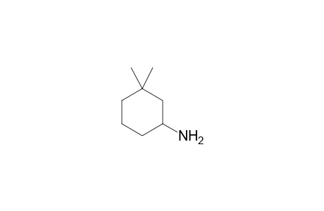 1-AMINO-3,3-DIMETHYL-CYCLOHEXANE