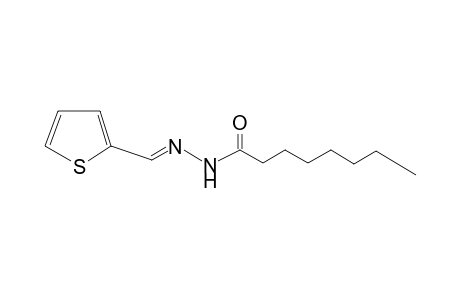 N'-[(E)-2-Thienylmethylidene]octanohydrazide