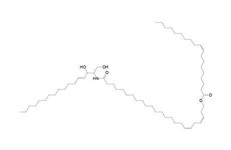Cer 17:1;2O/24:2;O(FA 19:1)