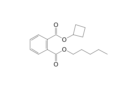 Phthalic acid, cyclobutyl pentyl ester