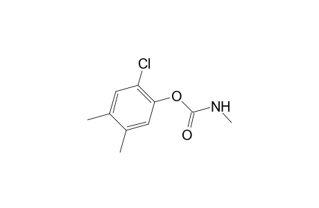 Carbamic acid, methyl-, 6-chloro-3,4-xylyl ester