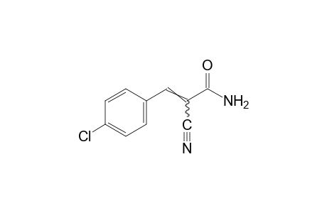 p-CHLORO-alpha-CYANOCINNAMAMIDE