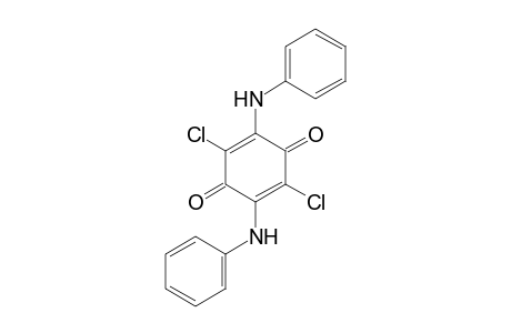 2,5-DIANILINO-3,6-DICHLORO-p-BENZOQUINONE