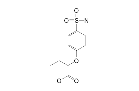 2-(p-sulfamoylphenoxy)butyric acid