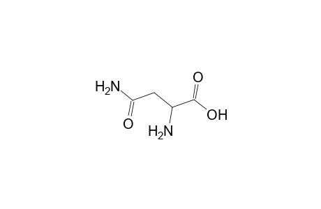 ASN;ASPARAGINE