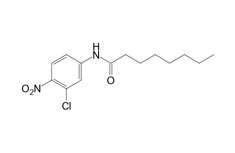 3'-chloro-4'-nitrooctananilide