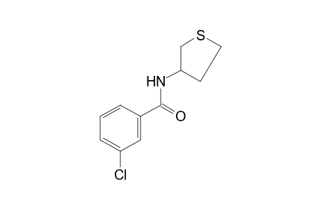 m-chloro-N-(tetrahydro-3-thienyl)benzamide