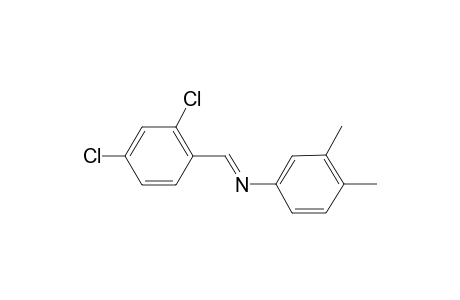 benzenamine, N-[(E)-(2,4-dichlorophenyl)methylidene]-3,4-dimethyl-