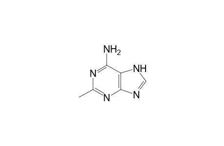 2-Methyladenine