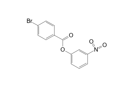 p-bromobenzoic acid, m-nitrophenyl ester