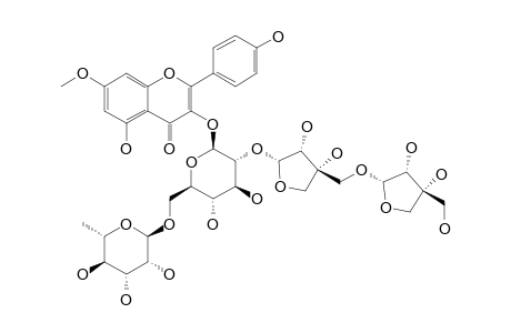 RHAMNOCITRIN-3-O-APIOSYL-(1->5)-APIOSYL-(1->2)-[ALPHA-L-RHAMNOPYRANOSYL-(1->6)]-BETA-D-GLUCOPYRANOSIDE