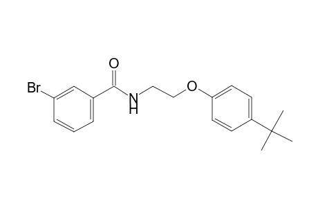 3-Bromo-N-[2-(4-tert-butyl-phenoxy)-ethyl]-benzamide