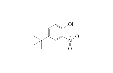 4-tert-Butyl-2-nitrophenol