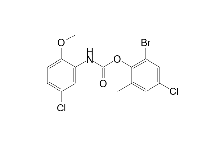 5-Chloro-2-methoxycarbanilic acid, 6-bromo-4-chloro-o-tolyl ester