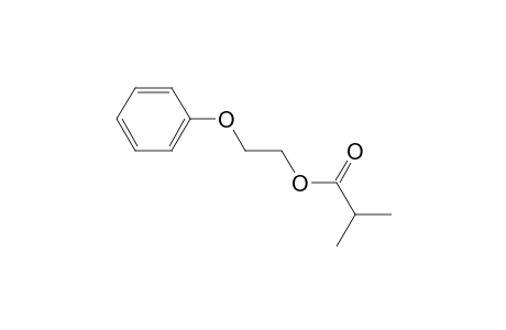 2-Phenoxyethyl isobutyrate