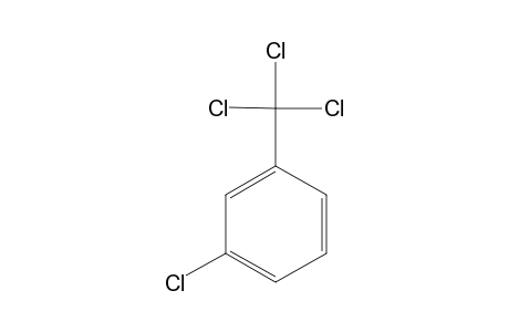 alpha,alpha,alpha,3-TETRACHLOROTOLUENE