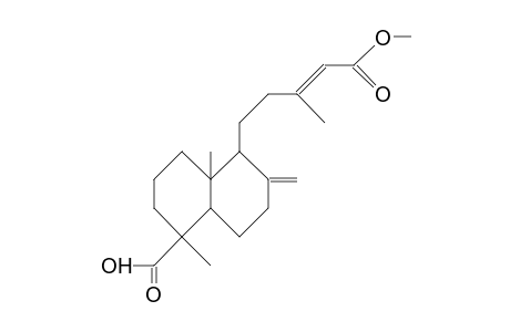 (4S,9R,10R)-METHYL-18-CARBOXY-LABDA-8,13(E)-DIENE-15-OATE