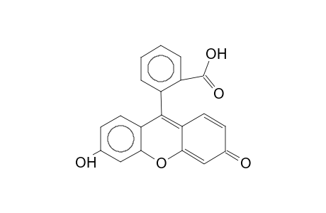 Fluorescein