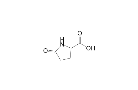 DL-5-oxoproline