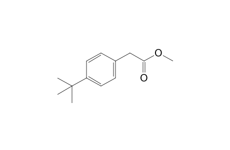 Methyl (4-tert-butylphenyl)acetate