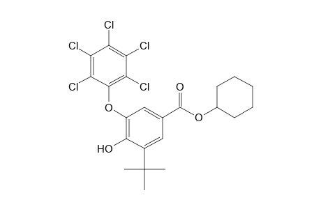 3-tert-butyl-4-hydroxy-5-(pentachlorophenoxy)benzoic acid, cyclohexyl ester