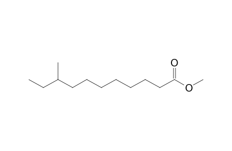 9-Methylundecanoate <methyl->