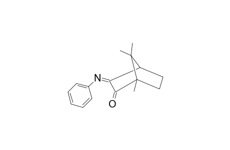 Bicyclo[2.2.1]heptan-3-one, 2-phenylimino-4,7,7-trimethyl-