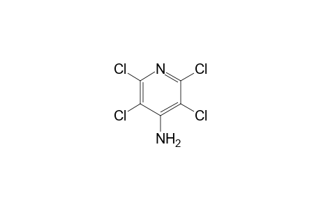 (2,3,5,6-tetrachloro-4-pyridyl)amine