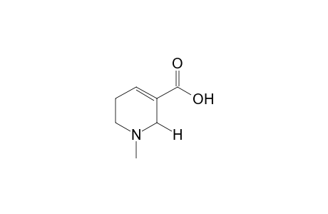 1-methyl-1,2,5,6-tetrahydronicotinic acid